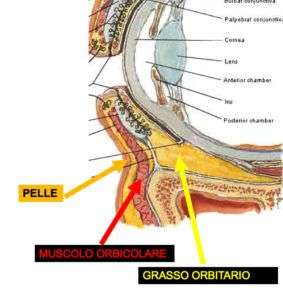 Blefaroplastica non chirurgica – un falso mito