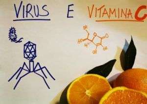 Coronavirus e vitamina C