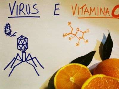 Coronavirus e vitamina C